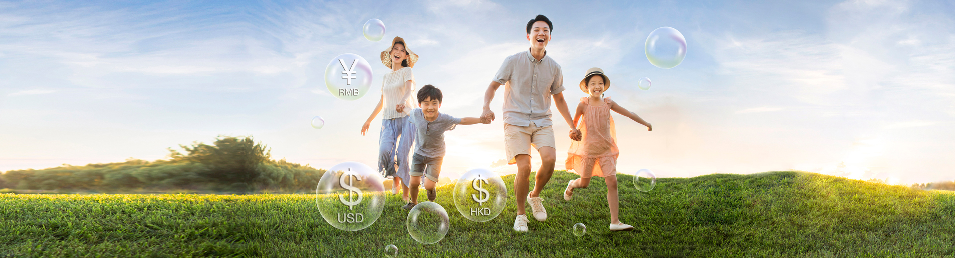 Wise Legend Multi-Currency Plan Wise Legend Multi-Currency Plan
