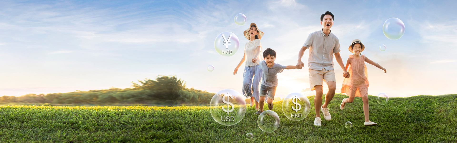 Wise Legend Multi-Currency Plan