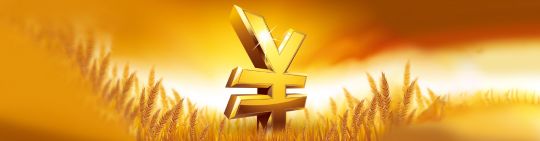 Golden Saver (RMB) Insurance Plan