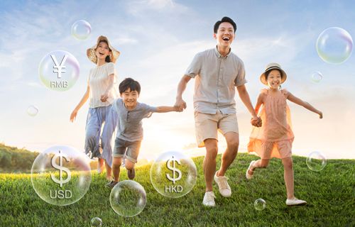 Wise Legend Multi-Currency Plan